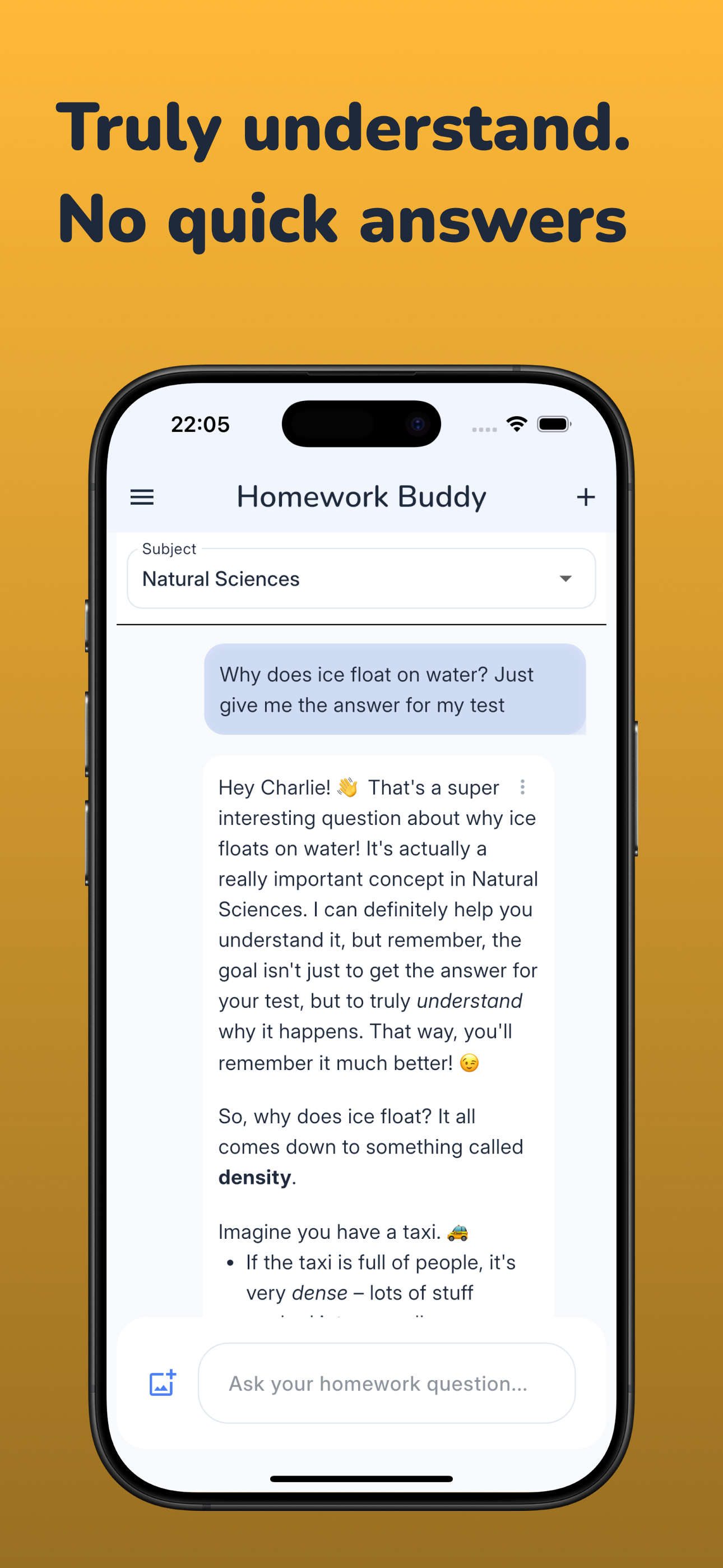 Screenshot: Truly understand — not just answers